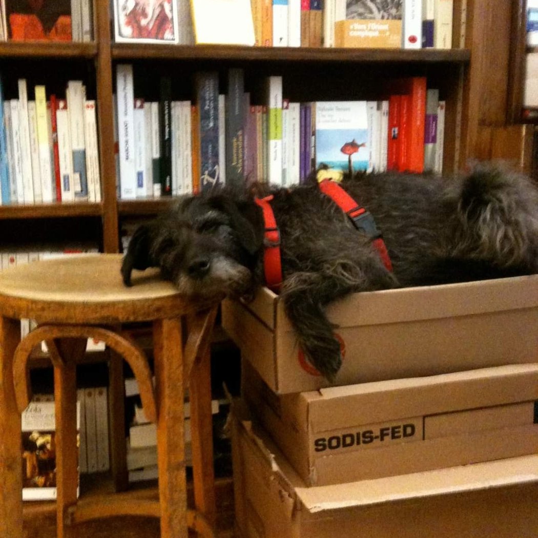 Librairie La Belle Lurette 2