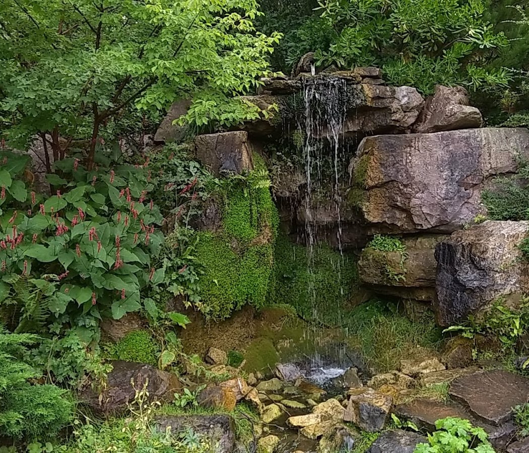 Caen Botanical Garden 3
