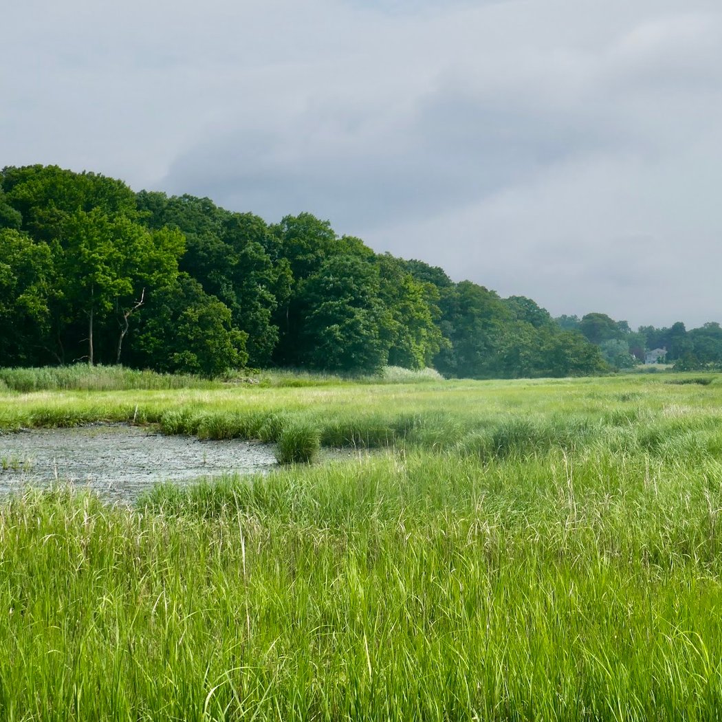 Marshlands Conservancy 3