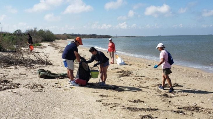 Marine Debris Survey: Seawolf Park