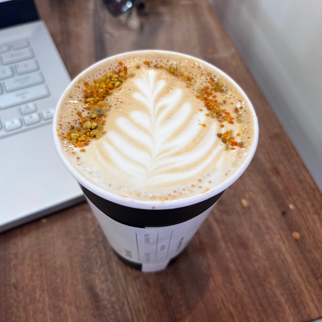 Avid Coffee 1