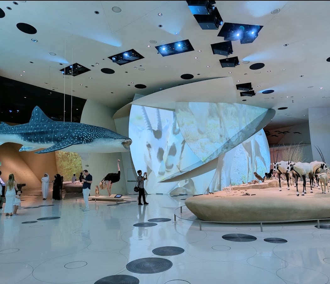 National Museum of Qatar 1