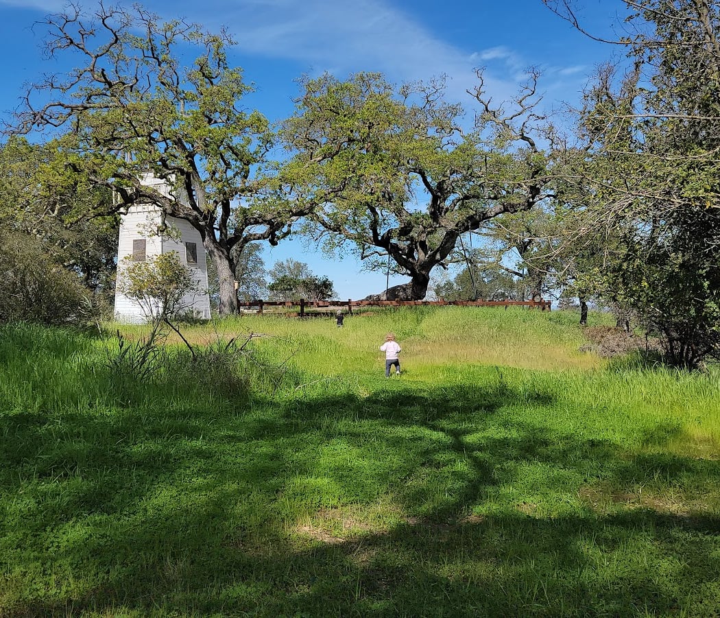 Lar Rieu Park 2