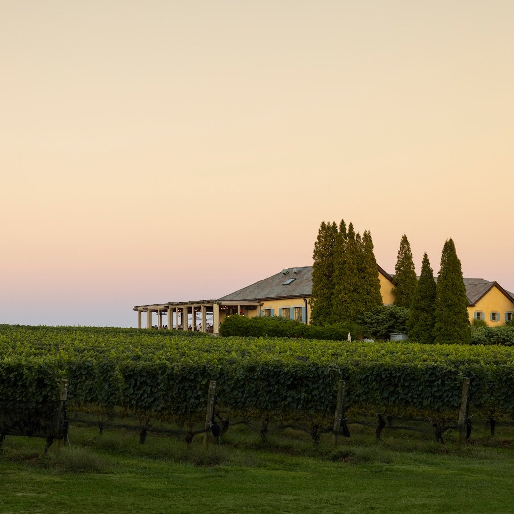 Wölffer Estate Vineyard 2
