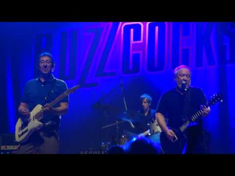 Buzzcocks’ final show of their North American tour 2