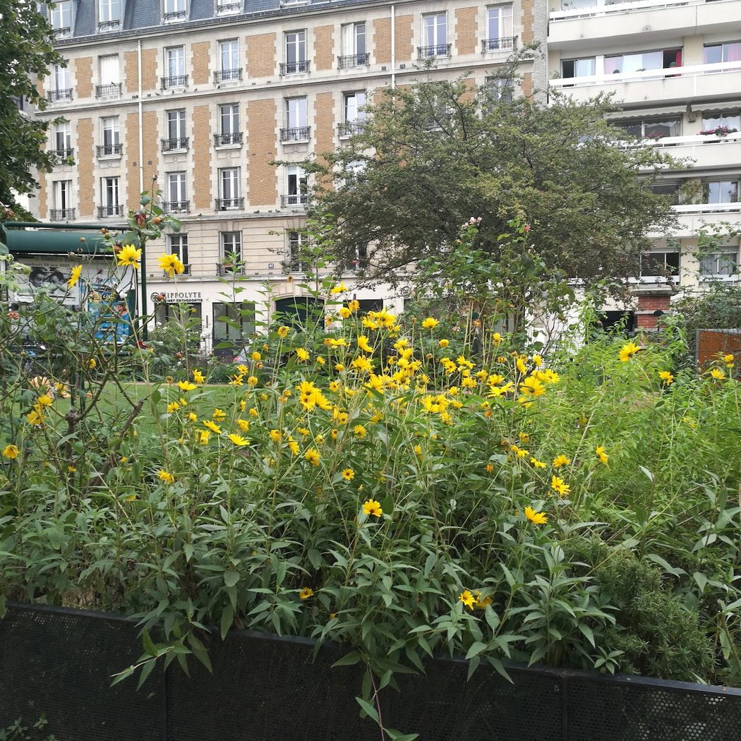 Jardin ouvert la nuit 3