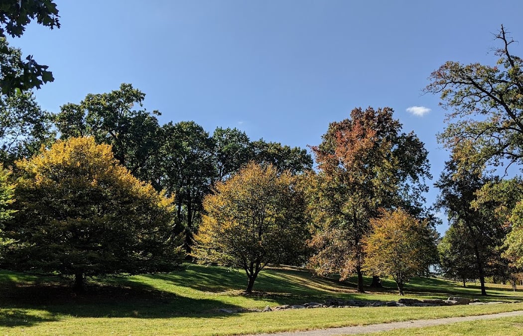 Jefferson Barracks: Sylvan Springs Beverage Garden and Amphitheater Restoration & Planting on June 20 3