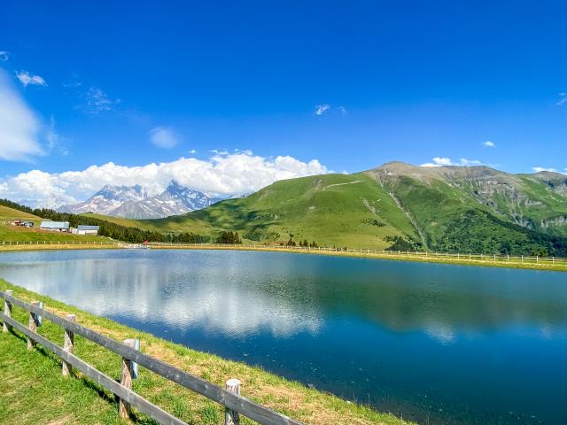 Mont Joux 1