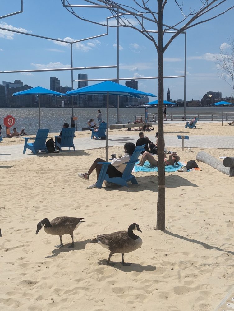 Gansevoort Beach 2
