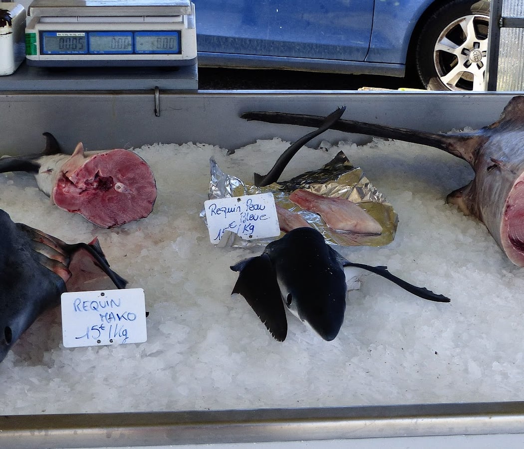 Marché aux Poissons, vente directe du pêcheur au consommateur 3