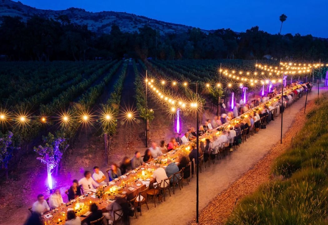 Dinner in the Vineyard 1