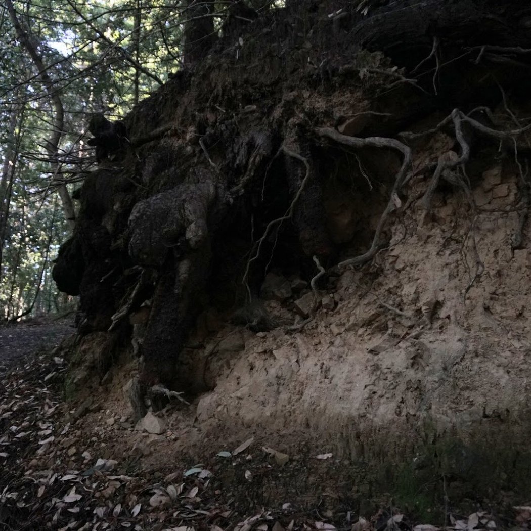 Sanborn Trail 3