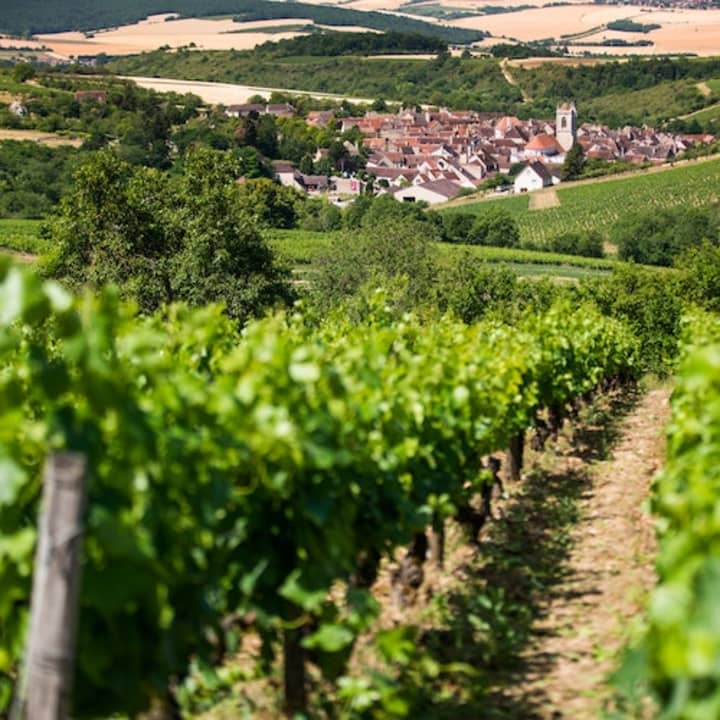 Excursion d'une journée en Bourgogne 1
