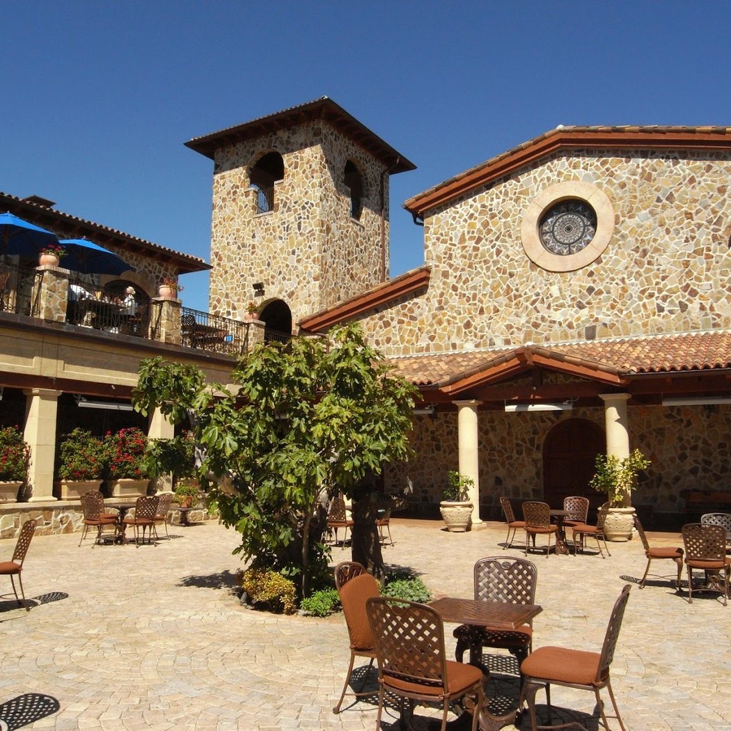 Festival of Olives 3