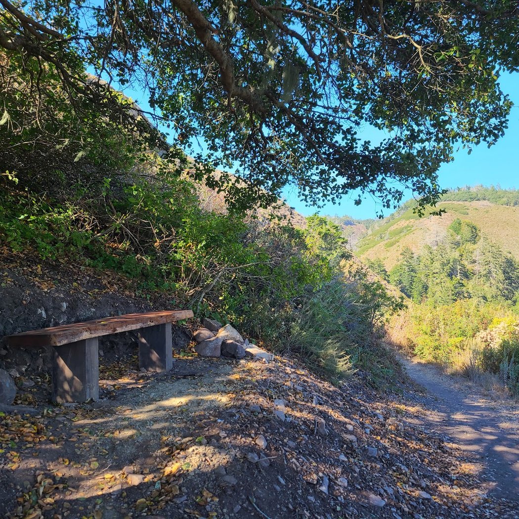 Cotoni-Coast Dairies National Monument Trailhead 3
