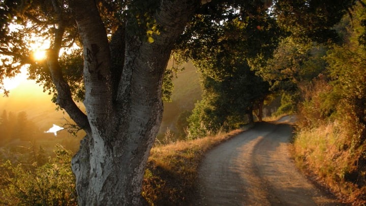 Julia Garcia Melan: From Stillness- Craniosacral & health coaching 2