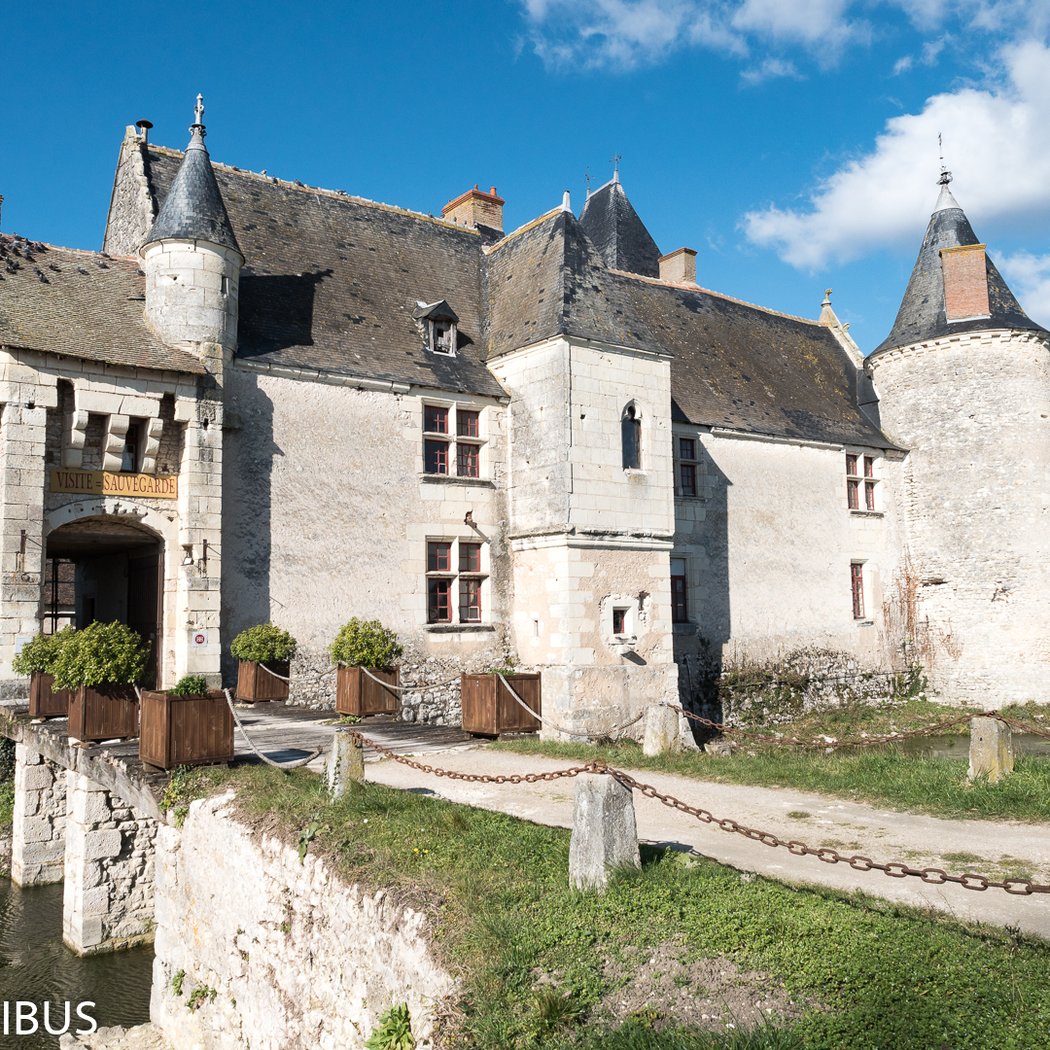 Château de Chémery 3