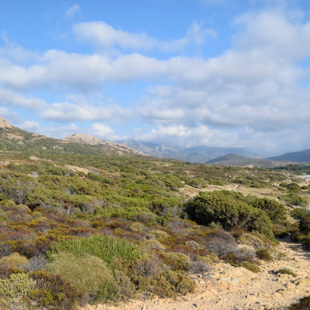 Désert des Agriates 3