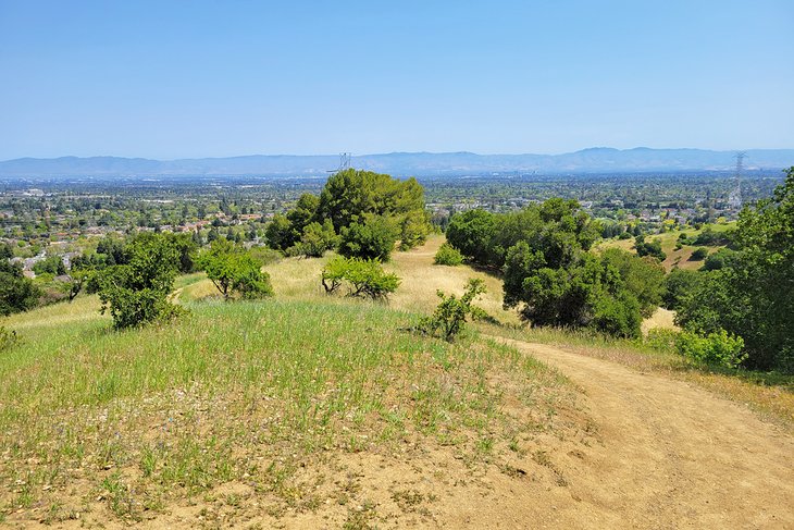 Fremont Older Open Space Preserve 3