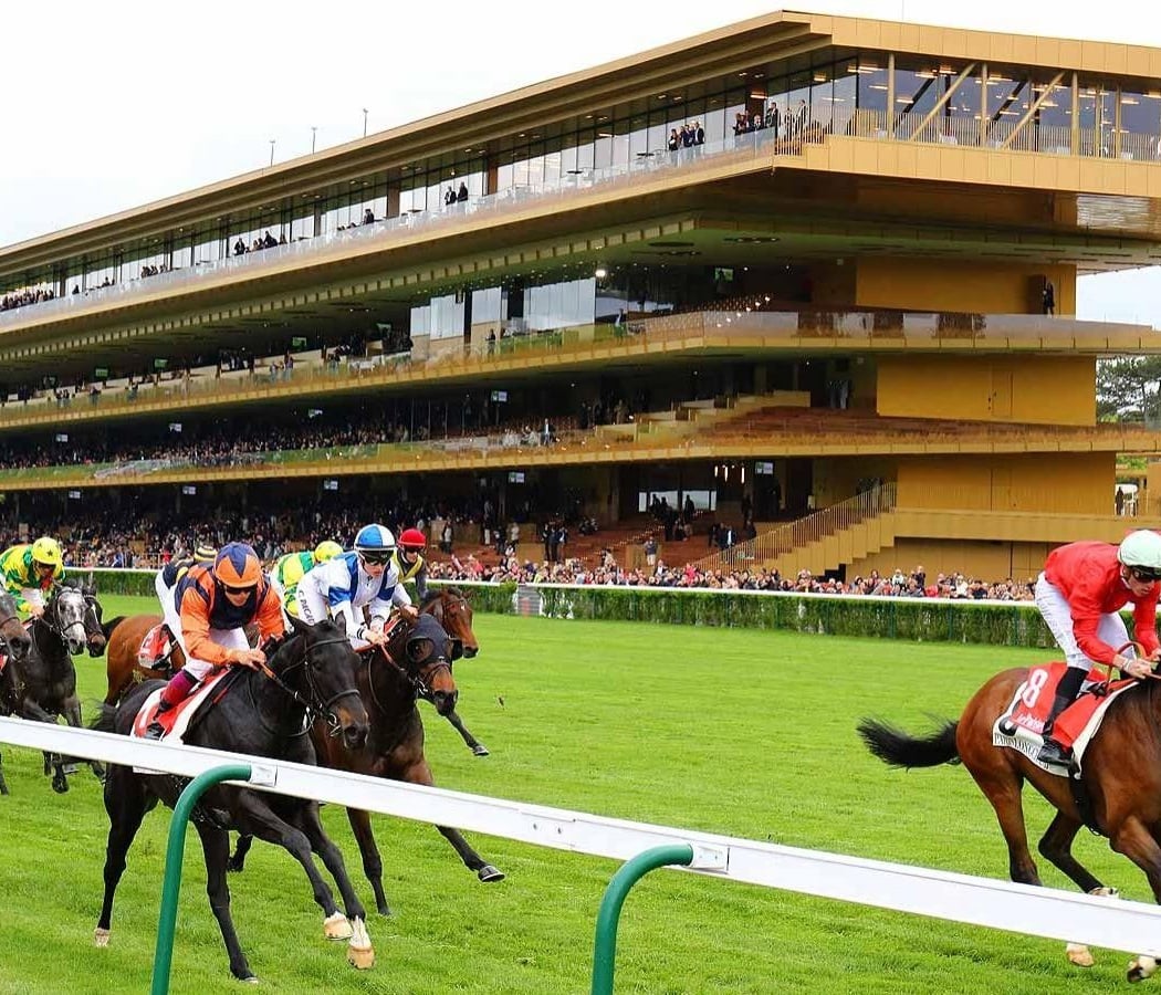 Hippodrome ParisLongchamp 3