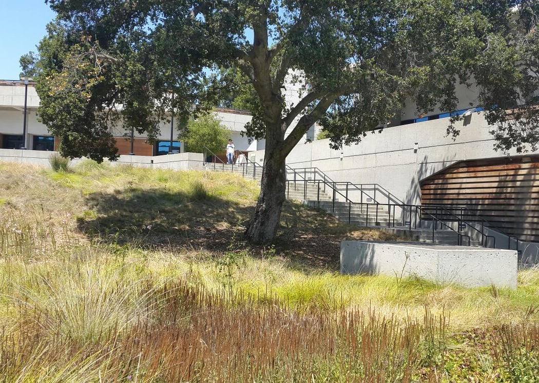District Offices | Foothill-De Anza Community College 4