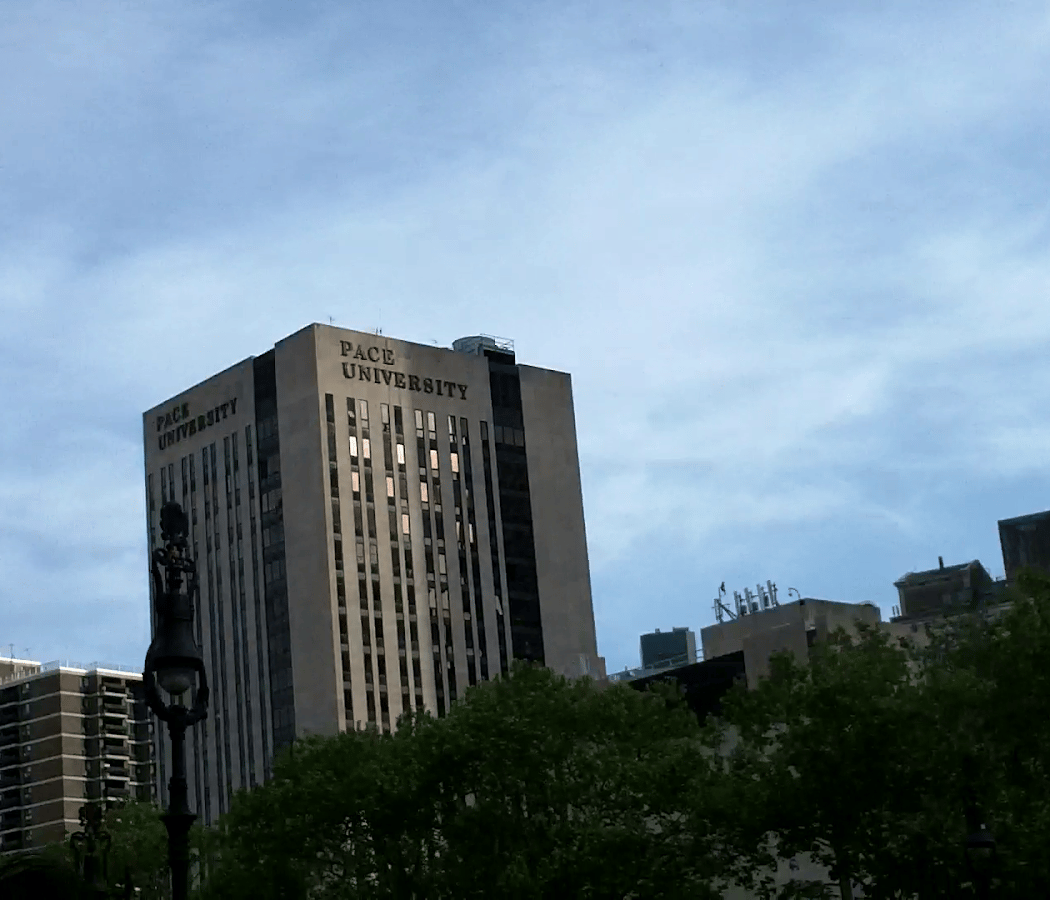 Pace University 3