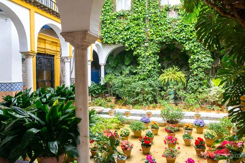 Barrio de Santa Cruz 2
