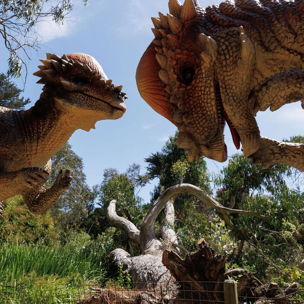 Dinos Rule!