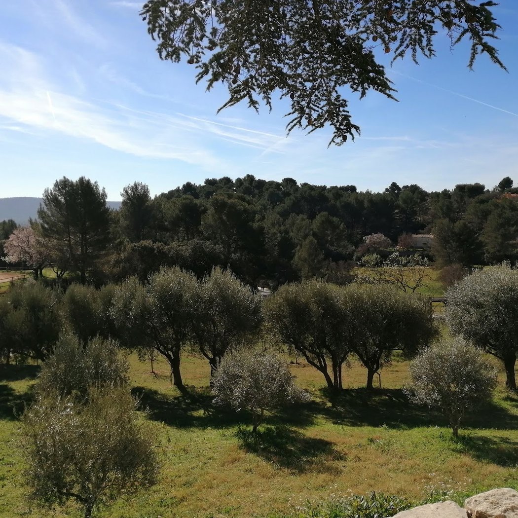 Découverte du sentier des abeilles 2