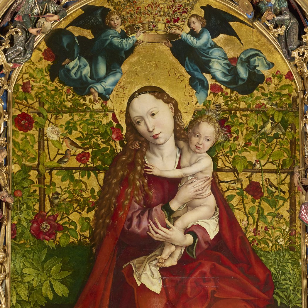 Martin Schongauer - Le bel immortel 1