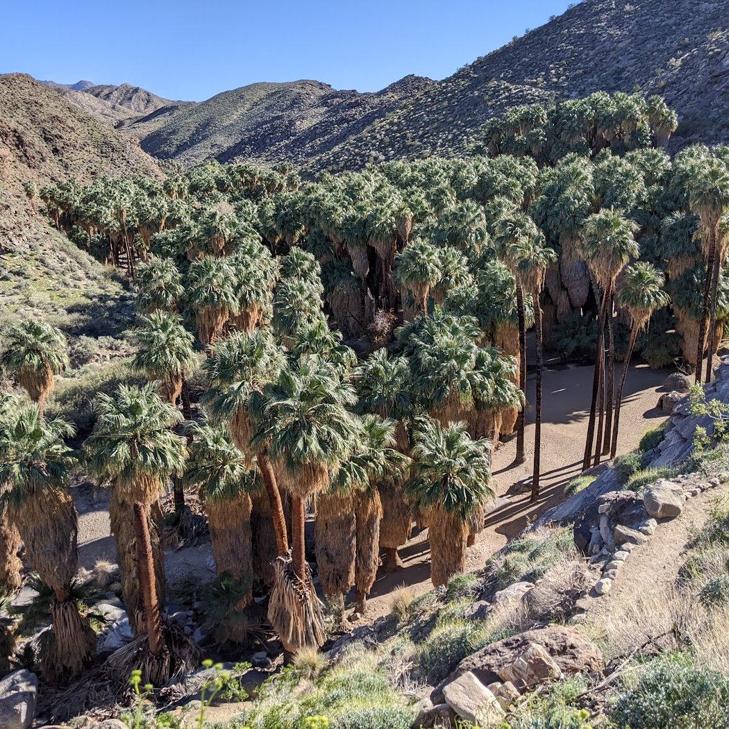 Indian Canyons 2