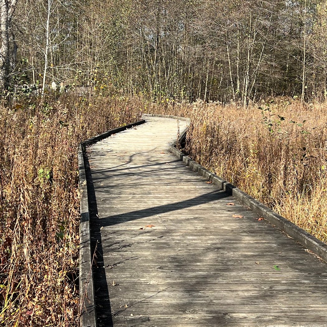 Meet Your Parks with Natural Area Preservation: Winter Bird Walk 5