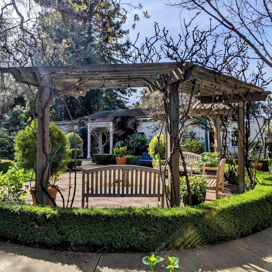 Master Gardeners Q&A 3