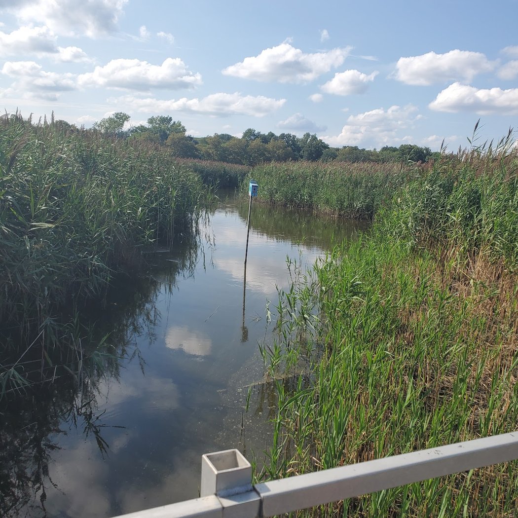 Lyndhurst Nature Reserve 3