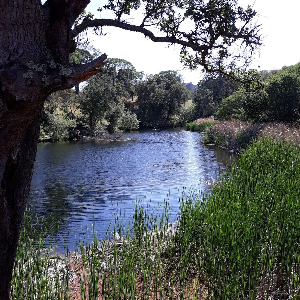Hidden Lakes Park 3