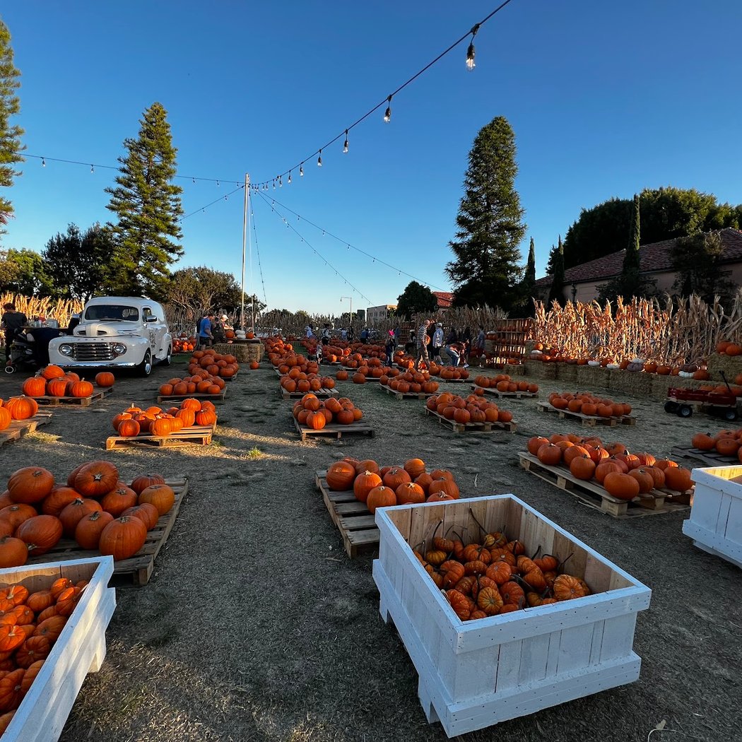 Goff Family Pumpkin Patch