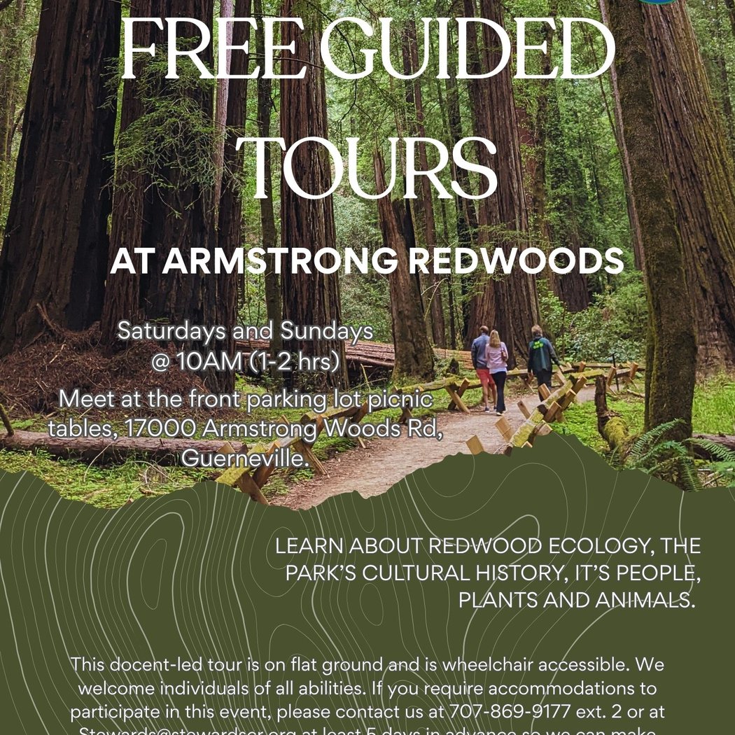 Free Guided Walks Through Armstrong Redwoods 1