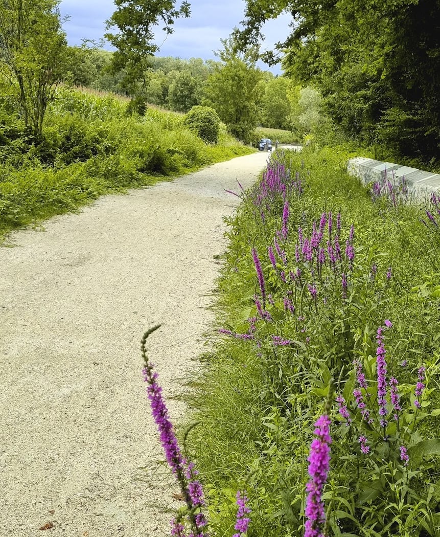 Parc des Cèdres 3