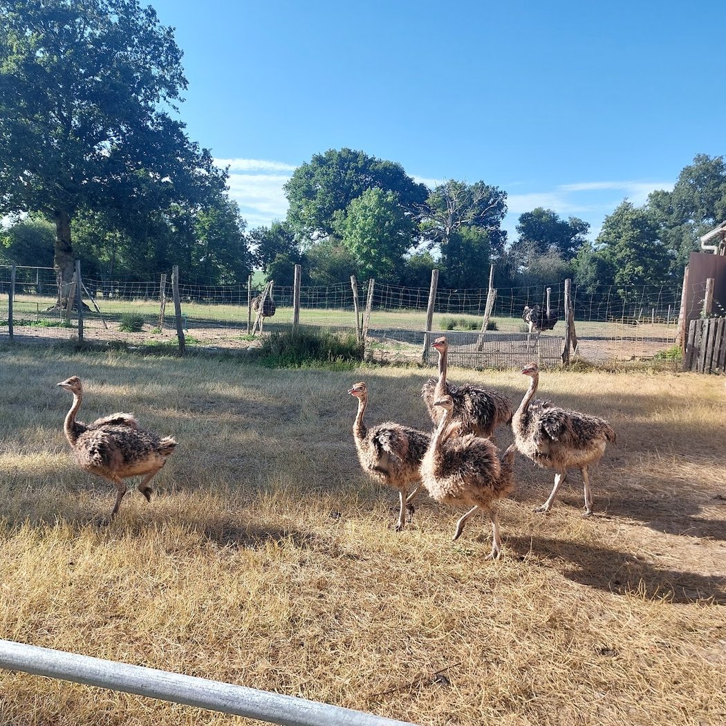 Découverte du monde agricole à la Chèvrerie du Maine 2