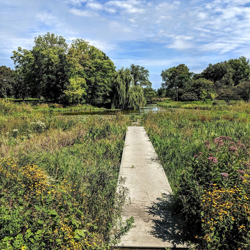 Humboldt Park Natural Area 1