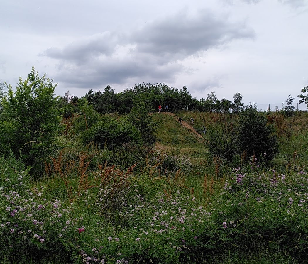 Parc des Alisiers 2