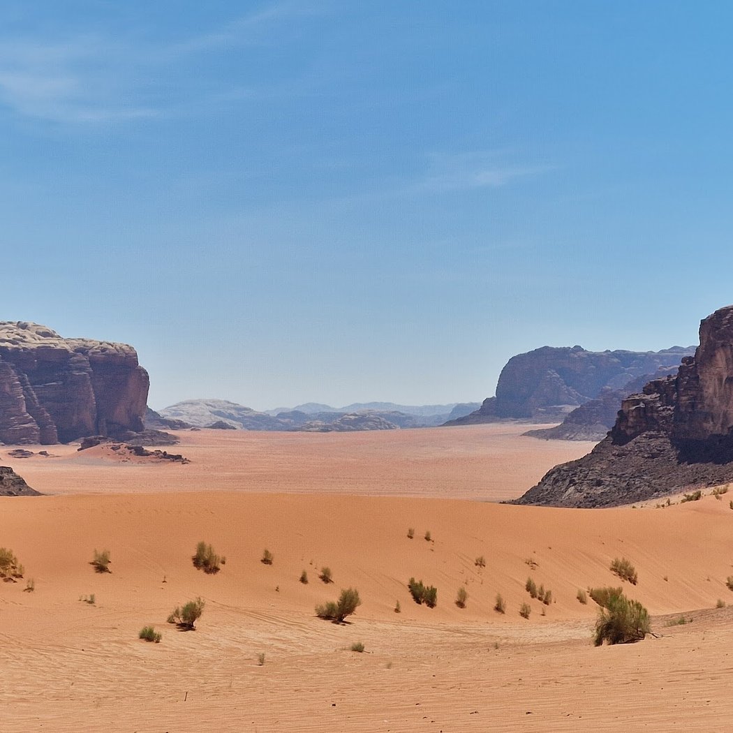 Wadi Rum Protected Area 3