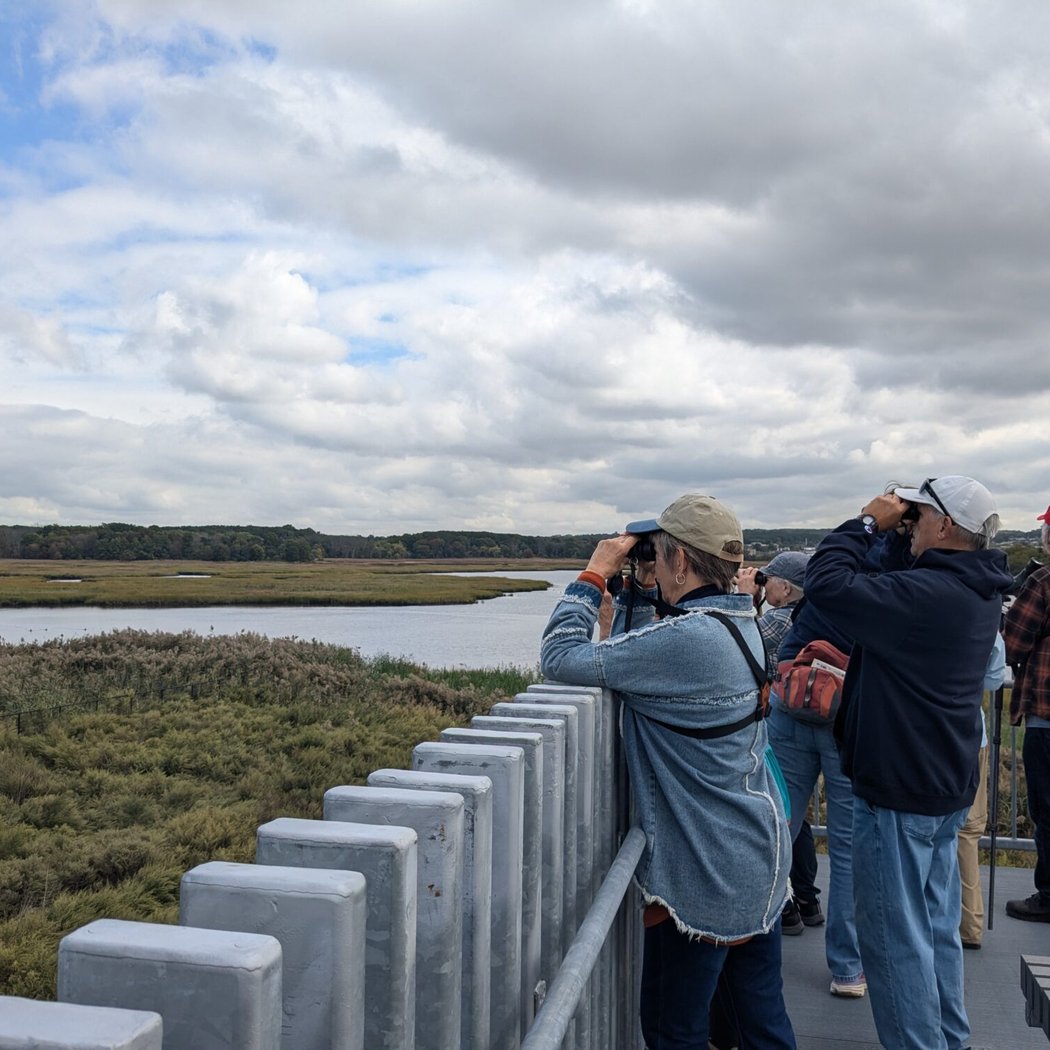 Bird and Nature Walk: Freshkills-North Park 1