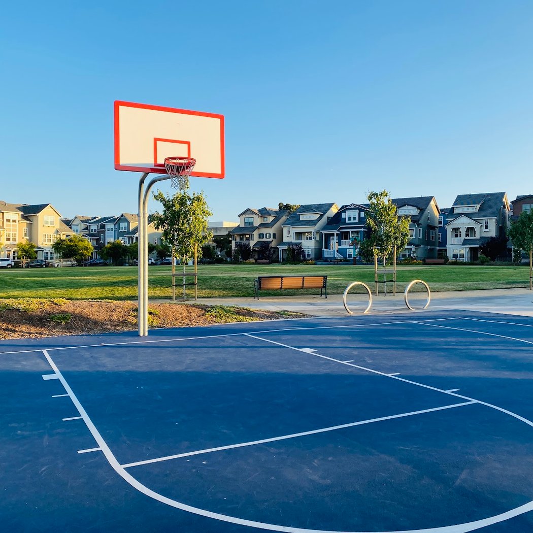 Basketball Court 1