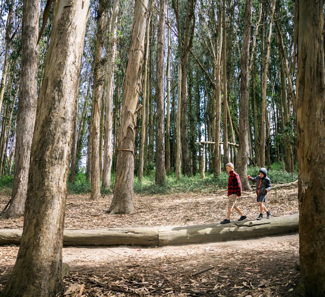 Mountain Lake Park 1