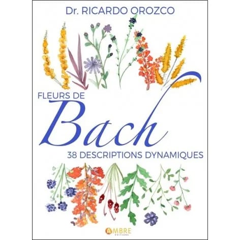 Librairie Livressence 4
