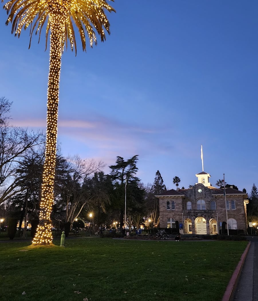 Outdoor Festival Celebrating the Beauty of Wine Country 5