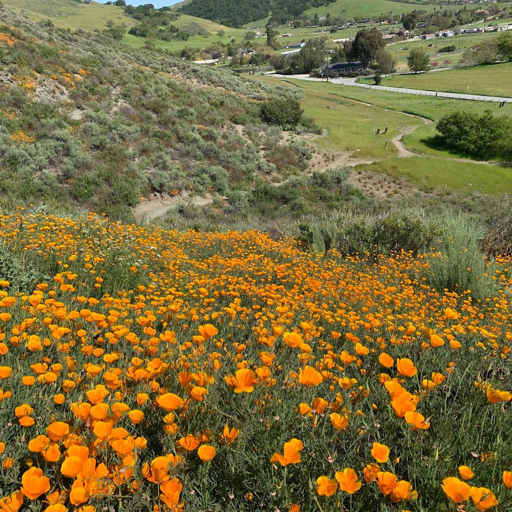 Santa Teresa County Park, Stile Ranch Entrance 1