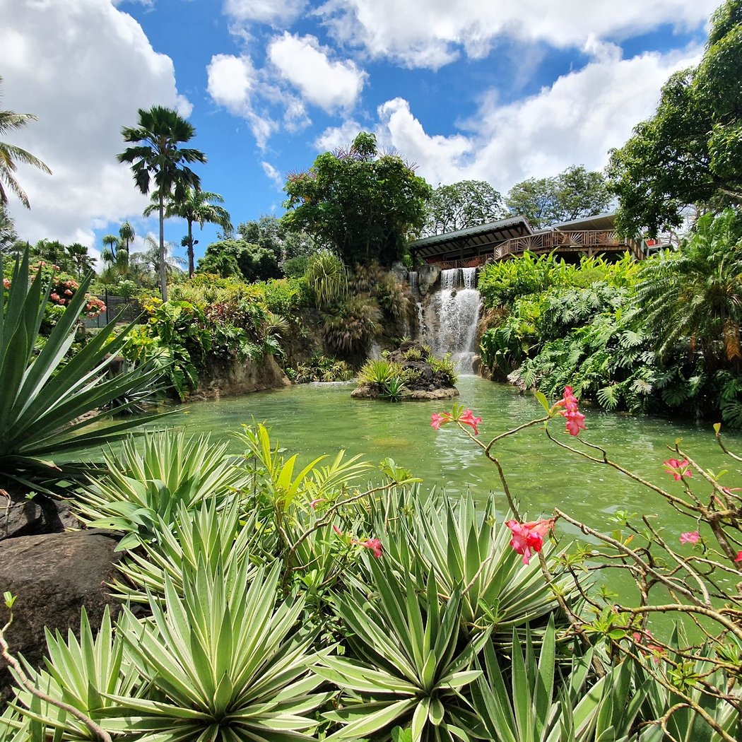 Jardin Botanique de Deshaies 1