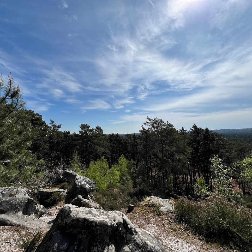 Panorama 1